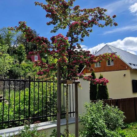 Siglisberg Βίλα Banská Štiavnica Εξωτερικό φωτογραφία