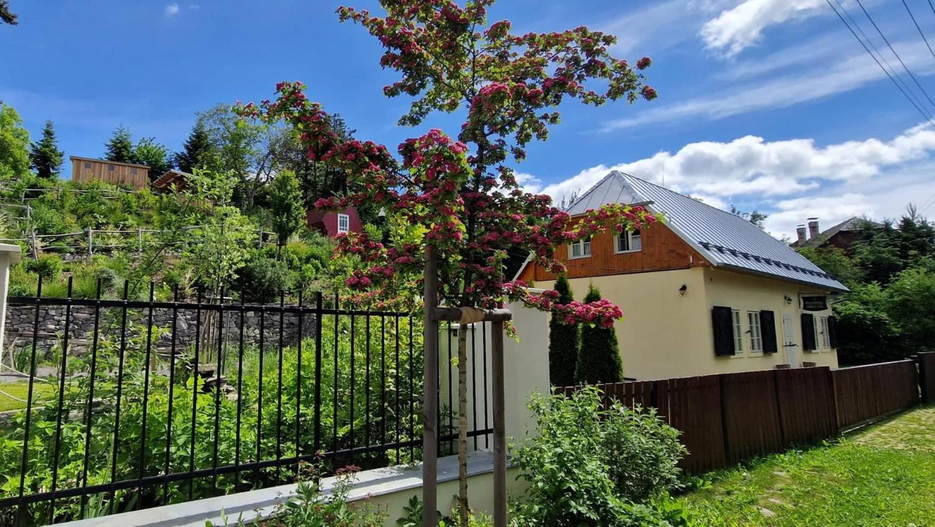 Siglisberg Βίλα Banská Štiavnica Εξωτερικό φωτογραφία